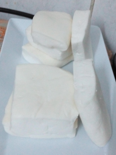 جبنة نعاج أصلية ومكفولة  في الأردن