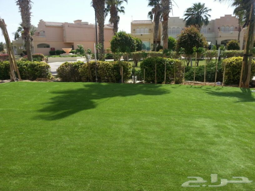 توريد وتركيب العشب الصناعي في جميع  في السعودية